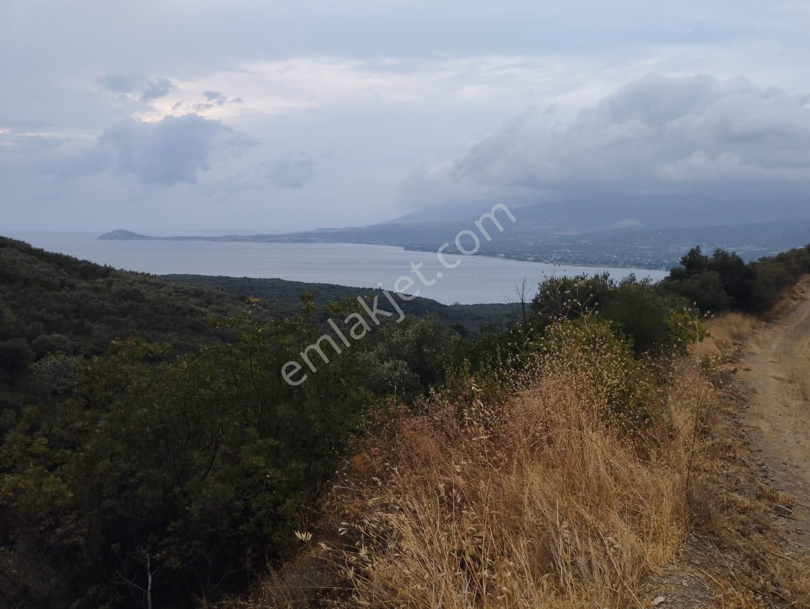 Bnadırma Edincik Mah. Deniz Manzaralı Satılık Zeytinlik - Görsel 7