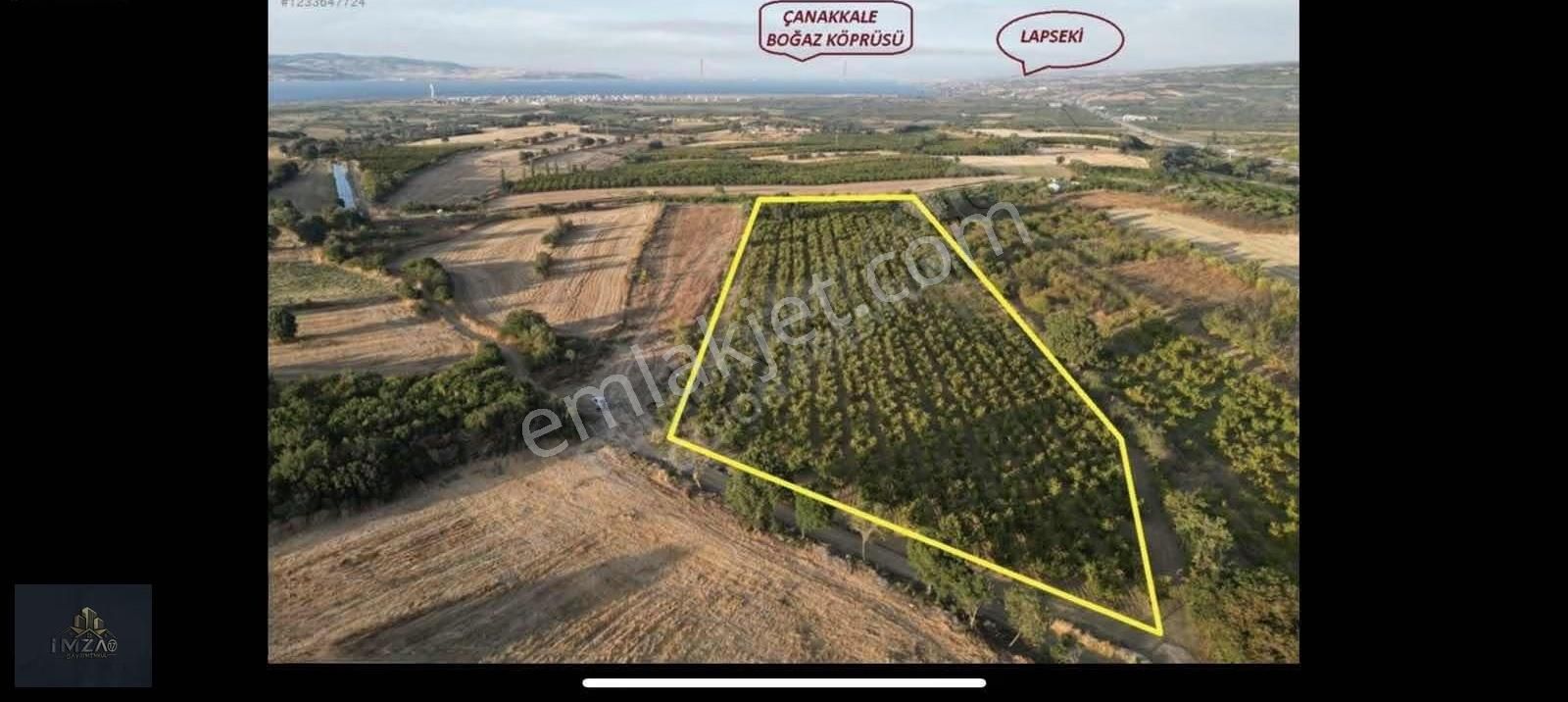 Çanakkale Labseki Kangırlı Altında Yatırımlık Tarla Satılık - Görsel 7