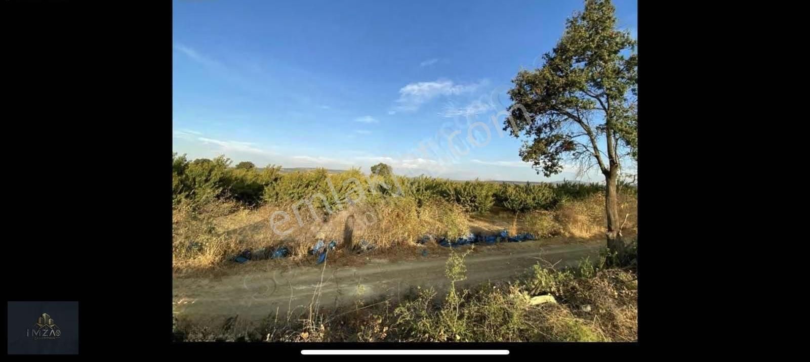 Çanakkale Labseki Kangırlı Altında Yatırımlık Tarla Satılık
