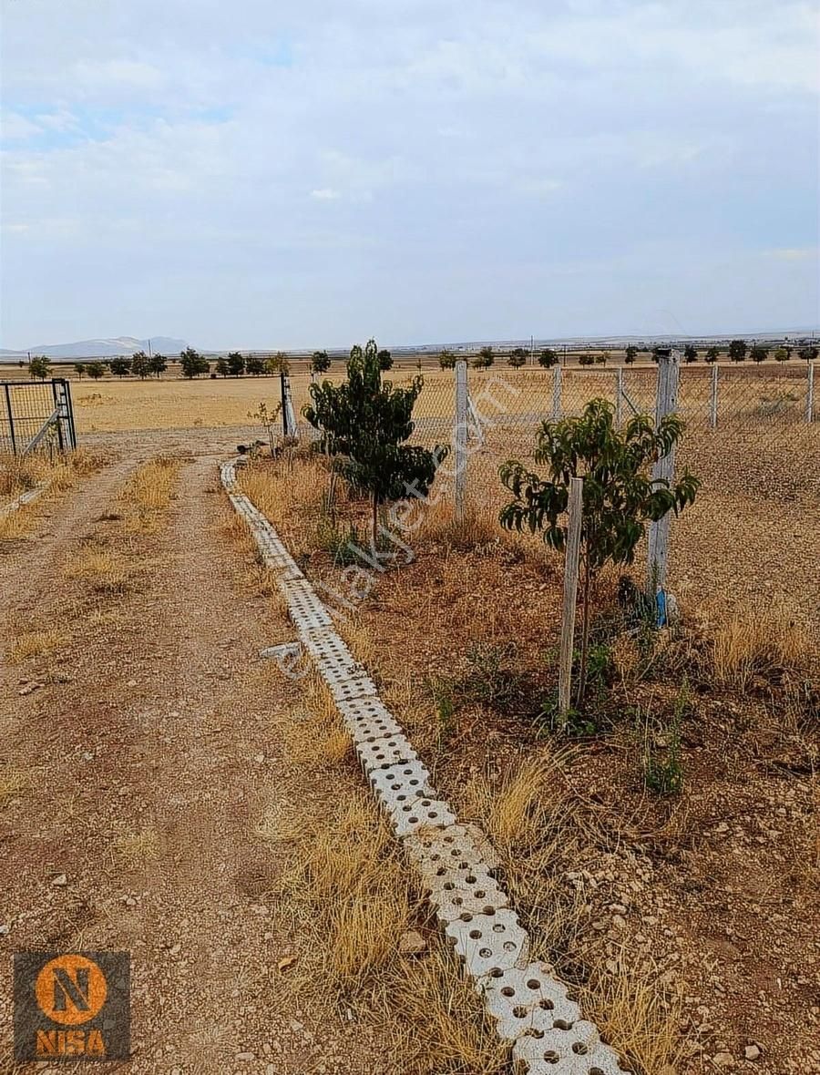 Satılık Tarla Konya Meram Hatunsarayda Yatırımlık Fırsat Bahçe - Görsel 14