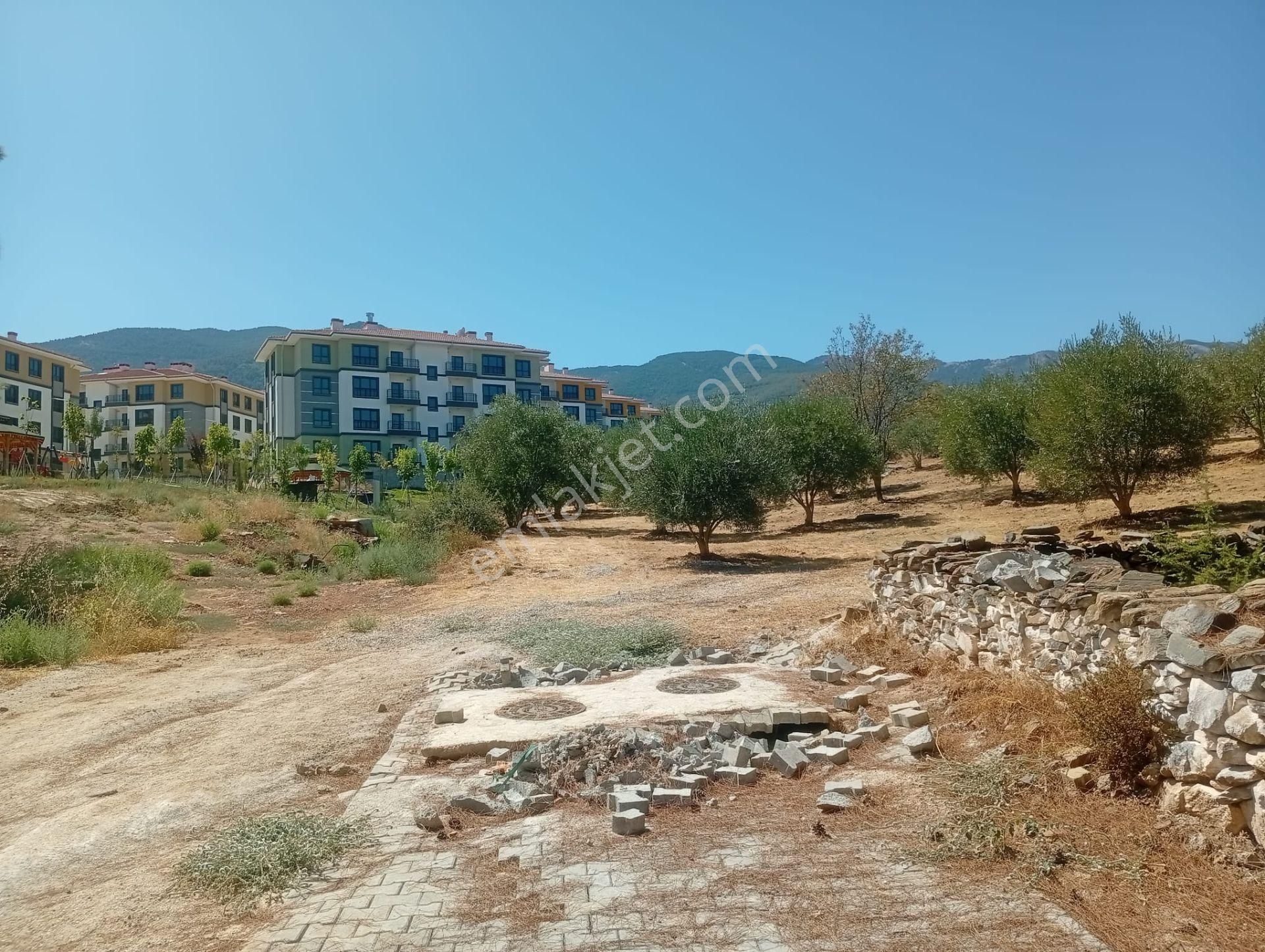Karacasu Toki 2. Etap İmar Dibi 8.030 M2 Bahçe - Görsel 21