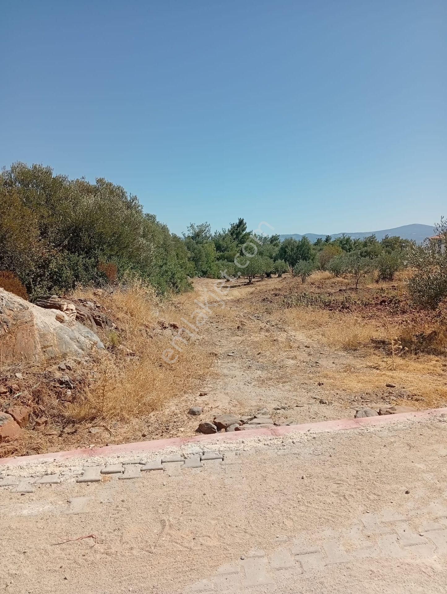 Karacasu Toki 2. Etap İmar Dibi 8.030 M2 Bahçe - Görsel 14
