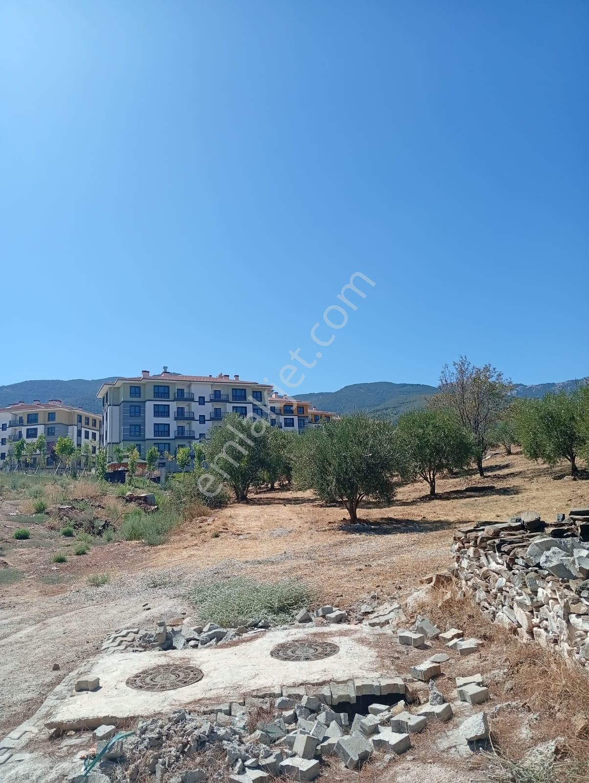 Karacasu Toki 2. Etap İmar Dibi 8.030 M2 Bahçe - Görsel 13