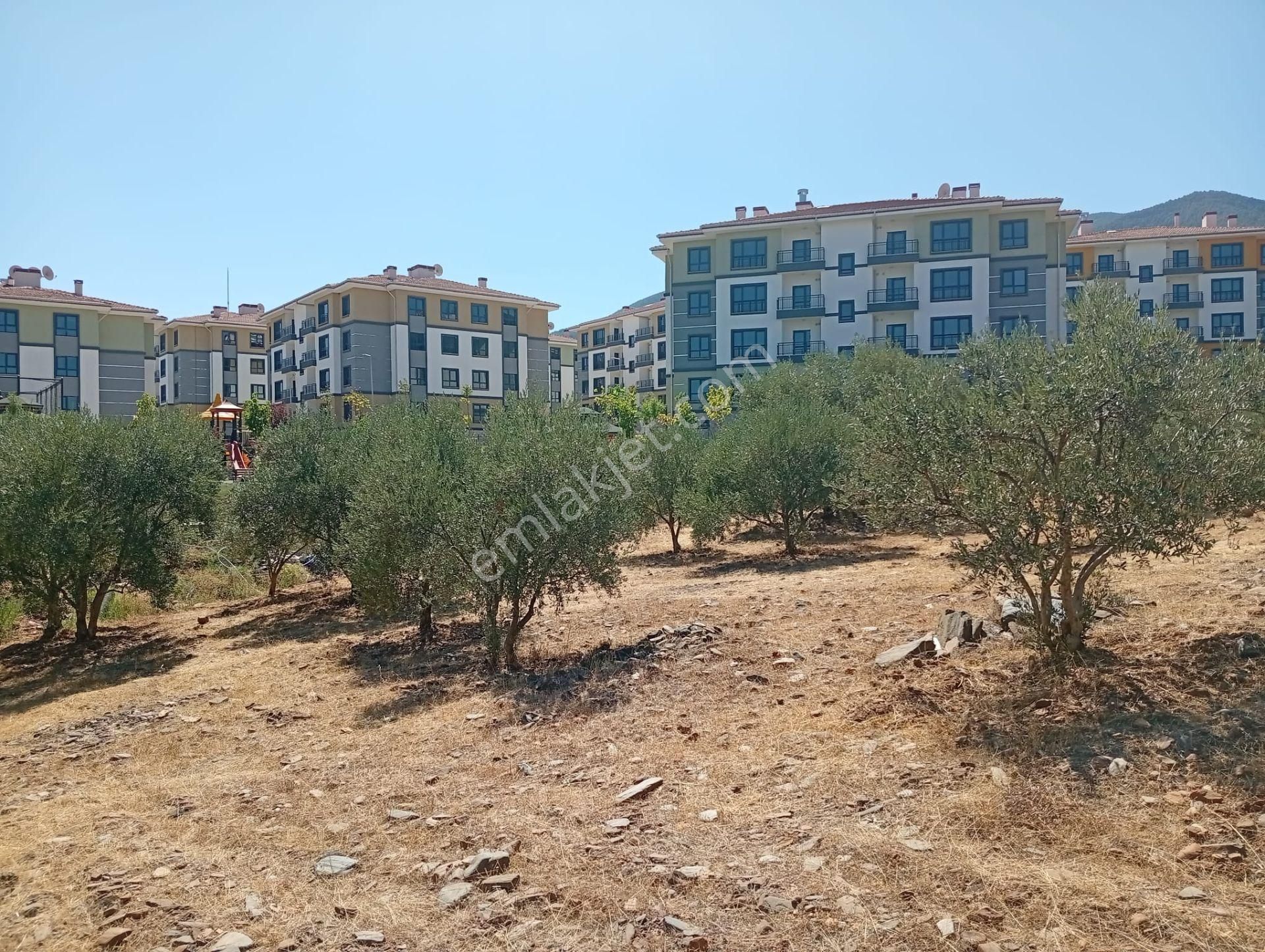 Karacasu Toki 2. Etap İmar Dibi 8.030 M2 Bahçe