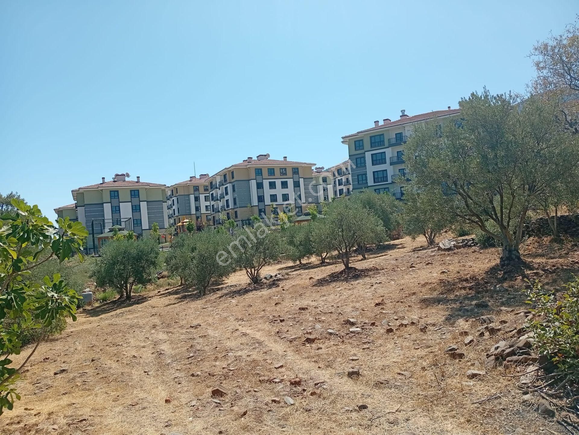 Karacasu Toki 2. Etap İmar Dibi 8.030 M2 Bahçe - Görsel 6