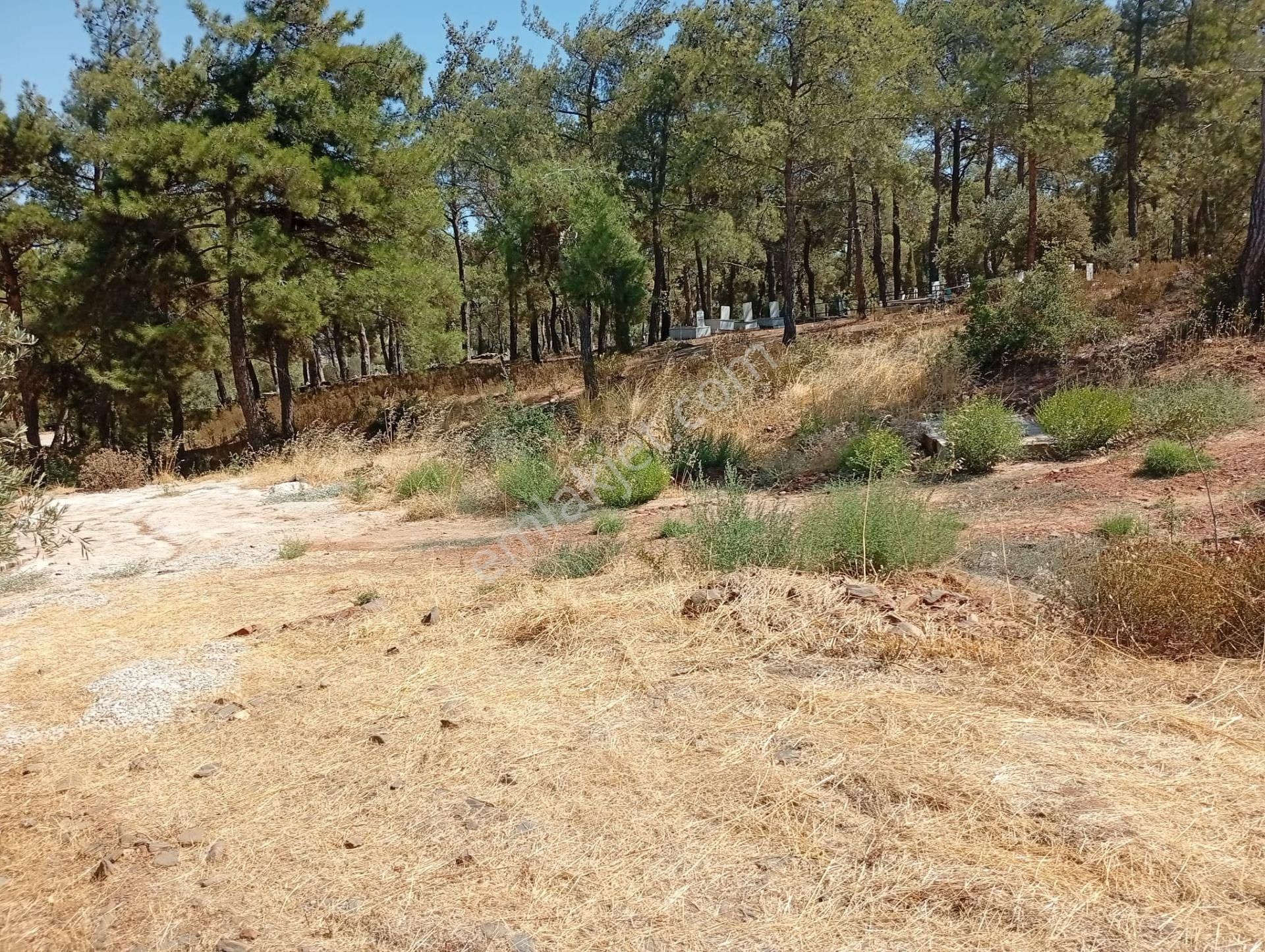 Karacasu Toki 2. Etap İmar Dibi 8.030 M2 Bahçe - Görsel 22