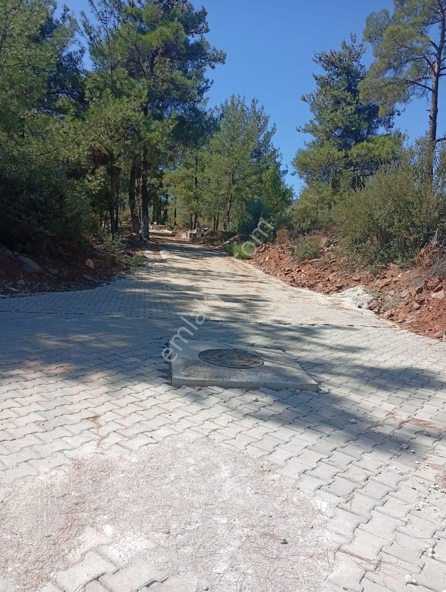Karacasu Toki 2. Etap İmar Dibi 8.030 M2 Bahçe - Görsel 5