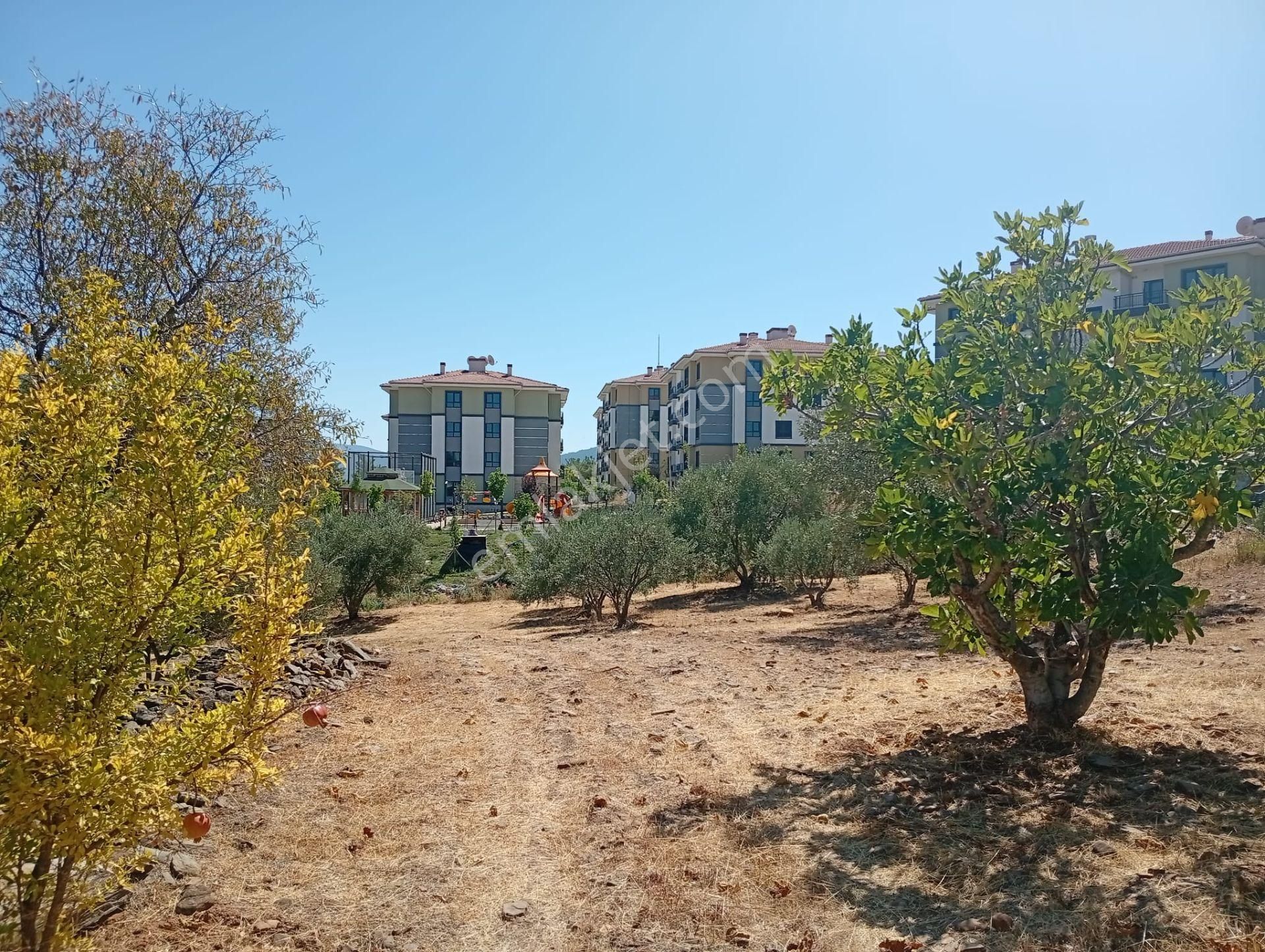 Karacasu Toki 2. Etap İmar Dibi 8.030 M2 Bahçe - Görsel 18