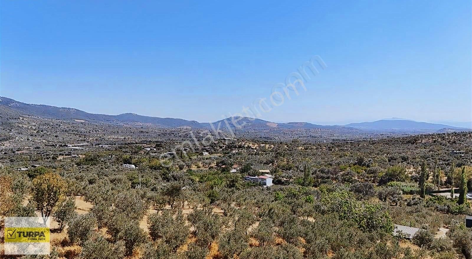 Torbalıda 6.142 M² Yolu Açılmış Zeytinlik Satılık! - Görsel 14
