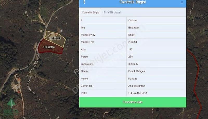 Delta Gayrimenkul'den Bulancak Eriklik Köyünde Fındık Bahçesi - Görsel 5