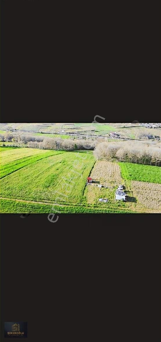 Sarızagi 2400 Mt Yüzde5* Köy Yani Süper Hesaplı Tarla - Görsel 9