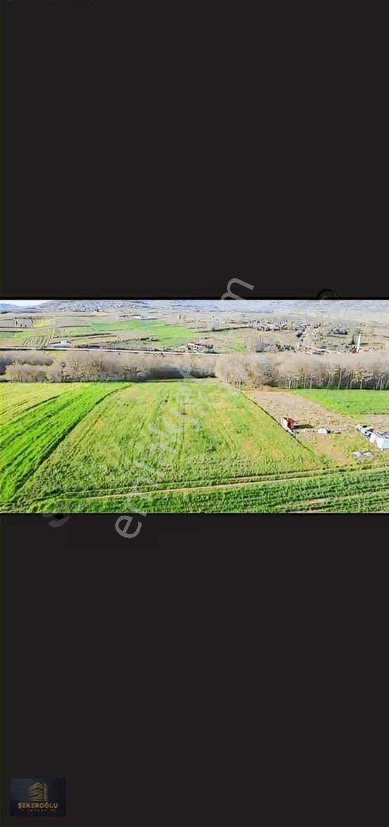 Sarızagi 2400 Mt Yüzde5* Köy Yani Süper Hesaplı Tarla - Görsel 3