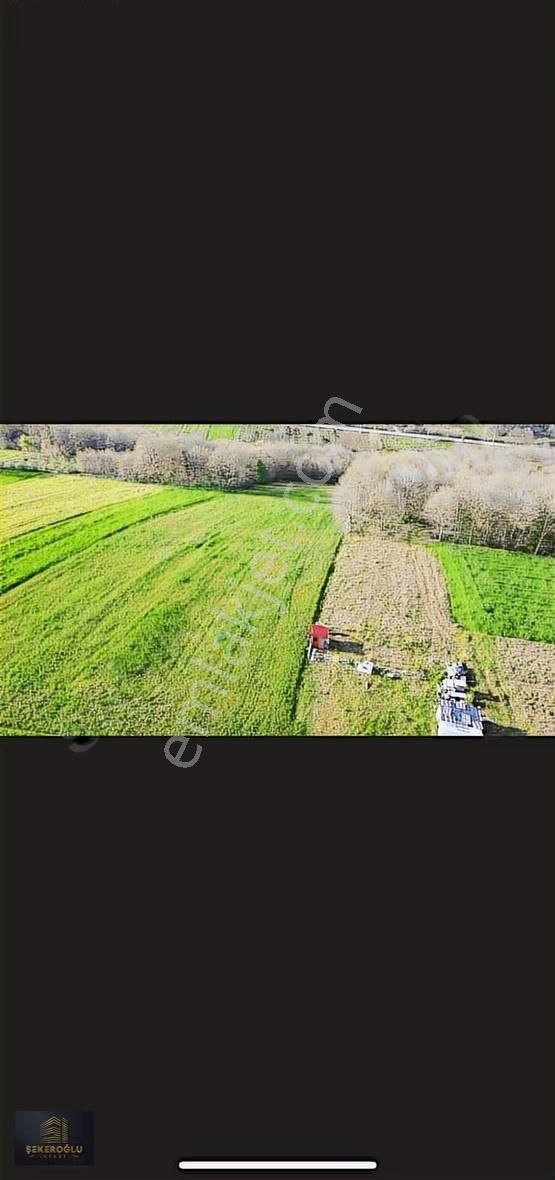Sarızagi 2400 Mt Yüzde5* Köy Yani Süper Hesaplı Tarla - Görsel 5