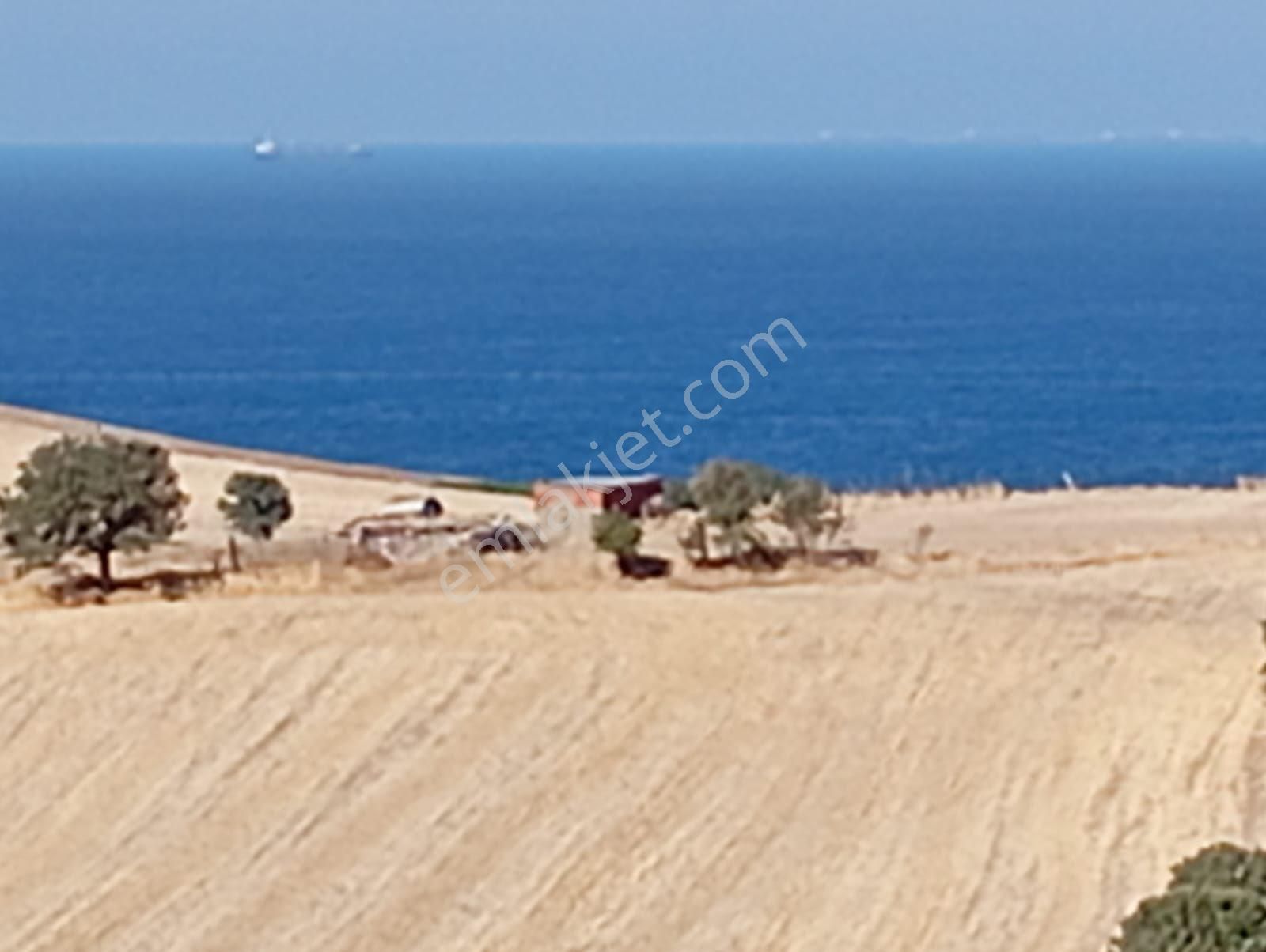 Olcaysu'dan Muhteşem Manzaralı Şok Fiyata 6040m2 Kelepir Tarla - Görsel 3