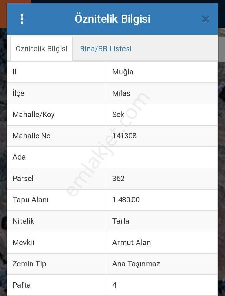 Muğla Milas Sekköy Satılık Tarla - Görsel 2