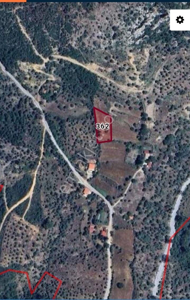 Muğla Milas Sekköy Satılık Tarla - Görsel 7