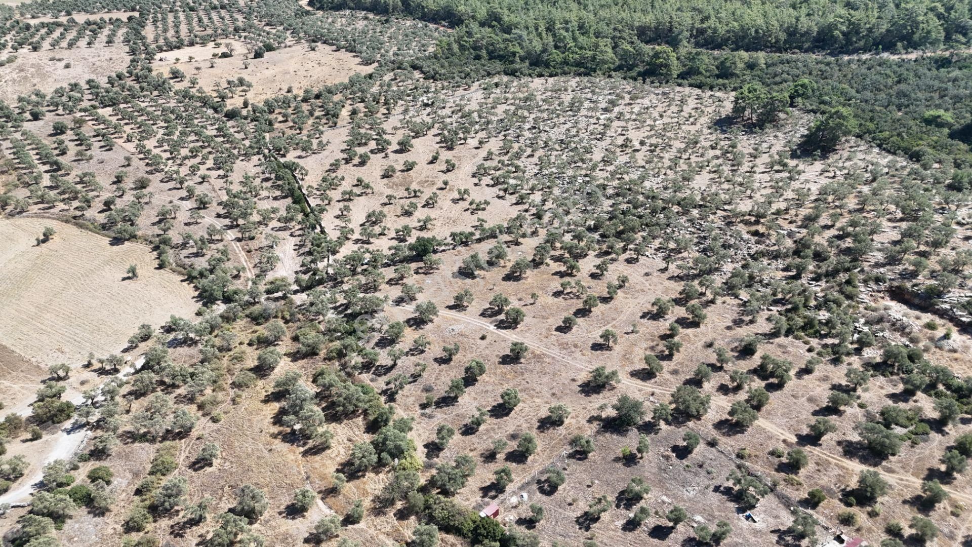 Milas Bozbük'te Denize 1.400 Metre Ünlü Projelere Komşu Tarla - Görsel 8