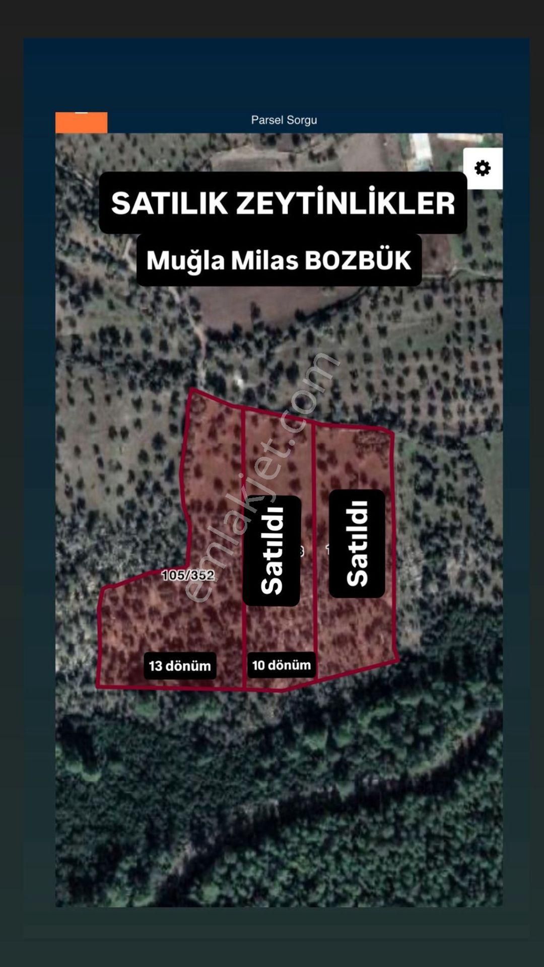 Milas Bozbük'te Denize 1.400 Metre Ünlü Projelere Komşu Tarla - Görsel 9