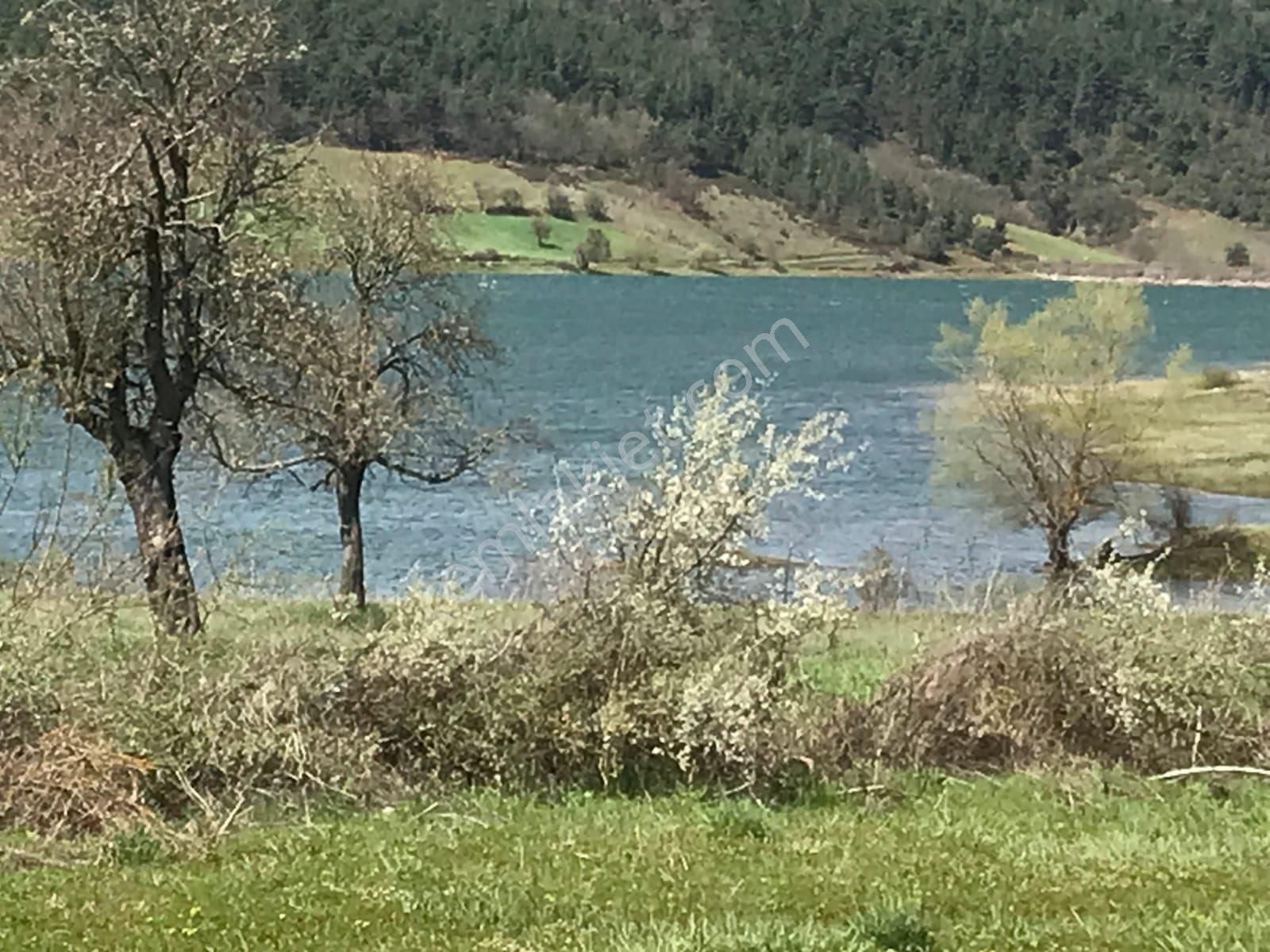 Sadece Olcaysu'dan Çınarcık/yenice'de 4625m2 Göl Manzaralı Yatırım Fırsatı!! - Görsel 8