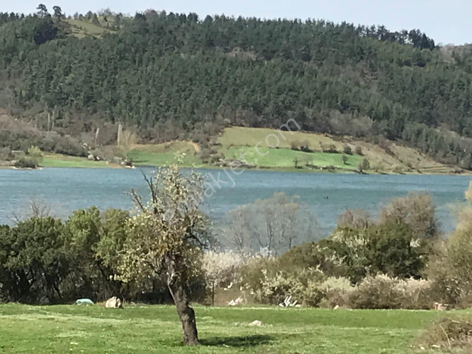 Sadece Olcaysu'dan Çınarcık/yenice'de 4625m2 Göl Manzaralı Yatırım Fırsatı!!