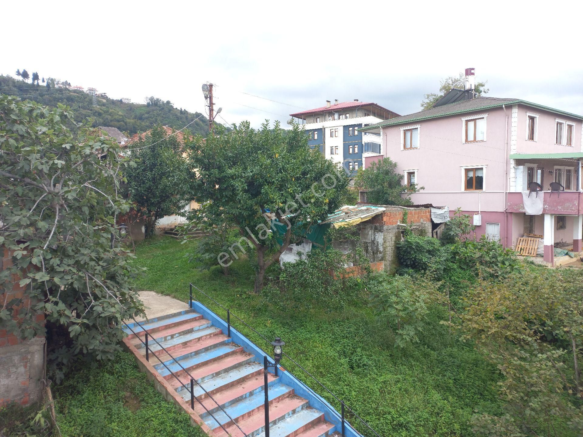 Doğuş Gayrimenkul Arsin Yalı Da Kiralık - Görsel 18