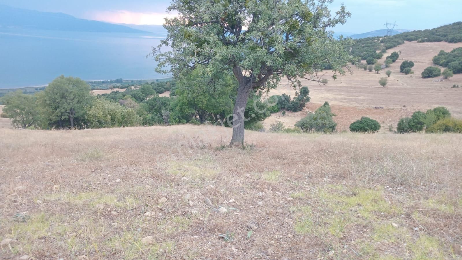 Çanakkale Lapseki Taştepe'de 16.381 M Kare Arsa Boğaz Ve Göl Manzaralı - Görsel 8