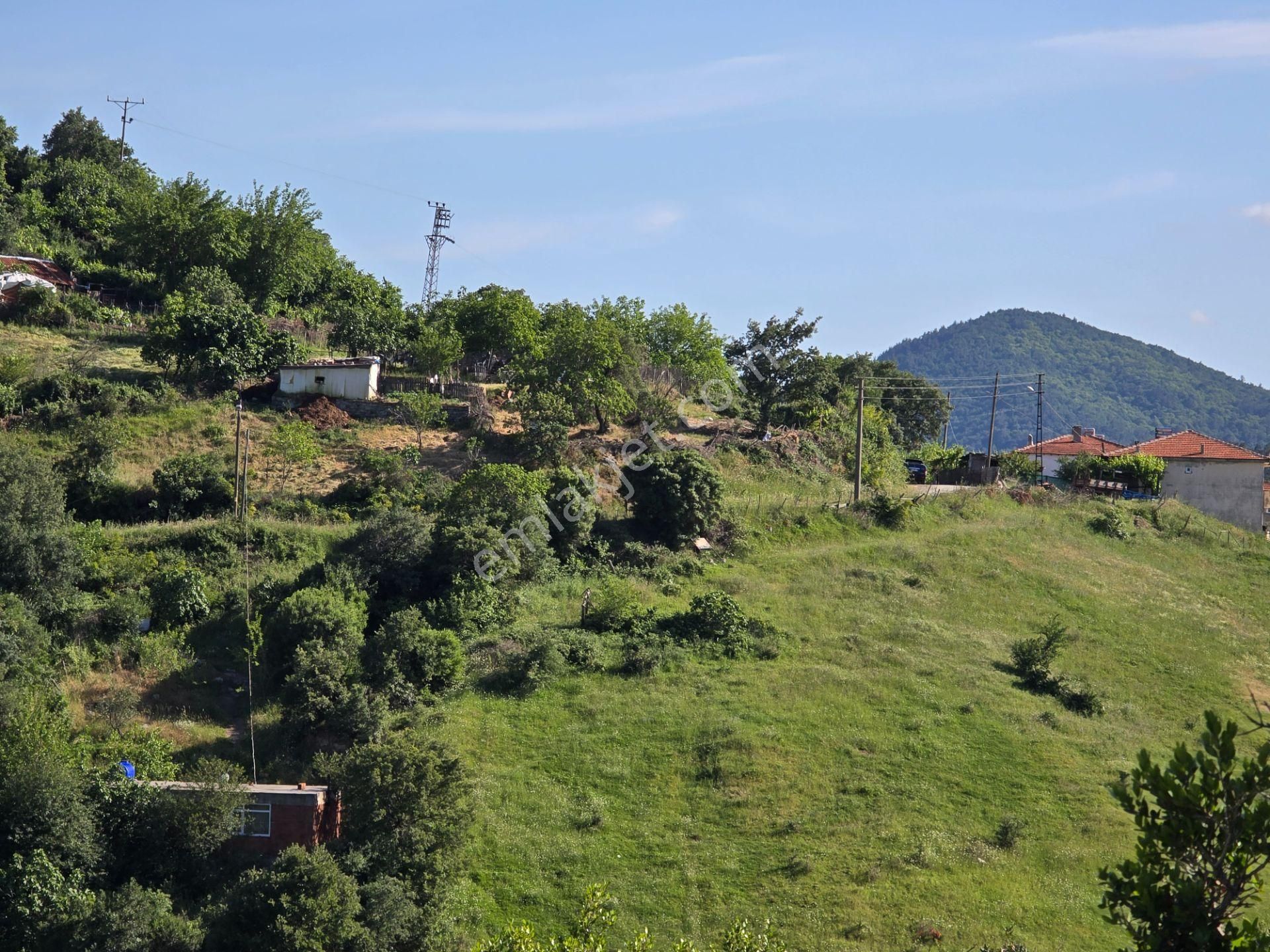 Çanakkale Lapseki Taştepe'de 16.381 M Kare Arsa Boğaz Ve Göl Manzaralı - Görsel 6