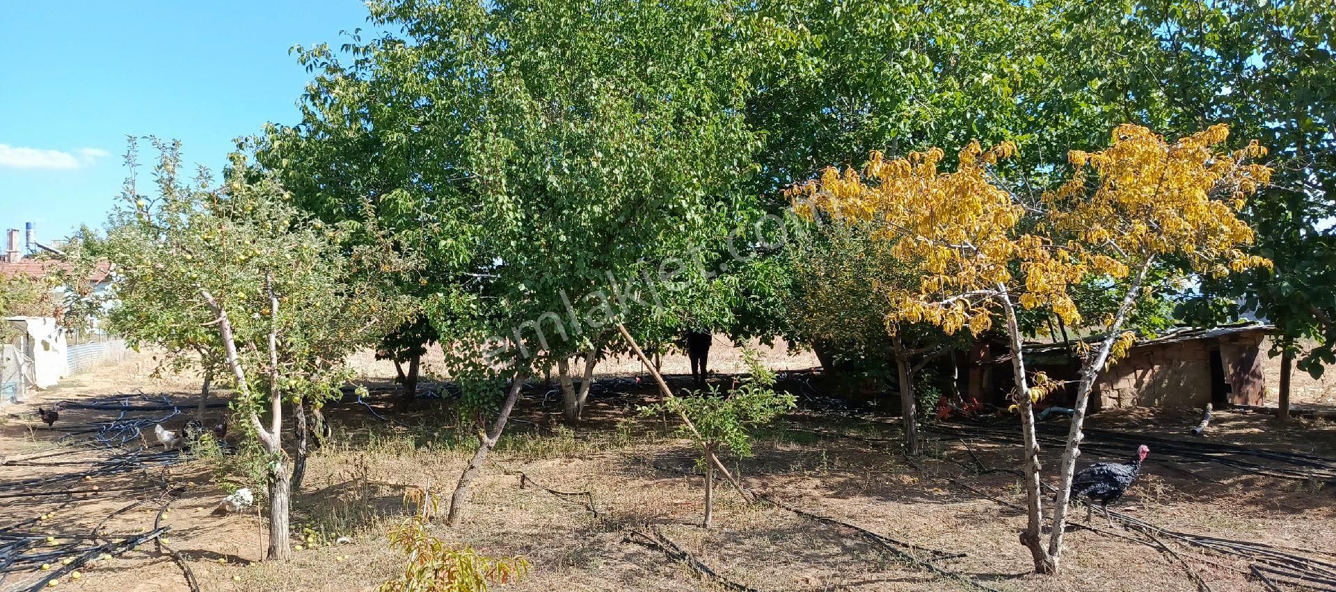 7500 M2 Satılık Konut İmarlı Arsa, Şehir Merkezi Cadde Üzeri - Görsel 19