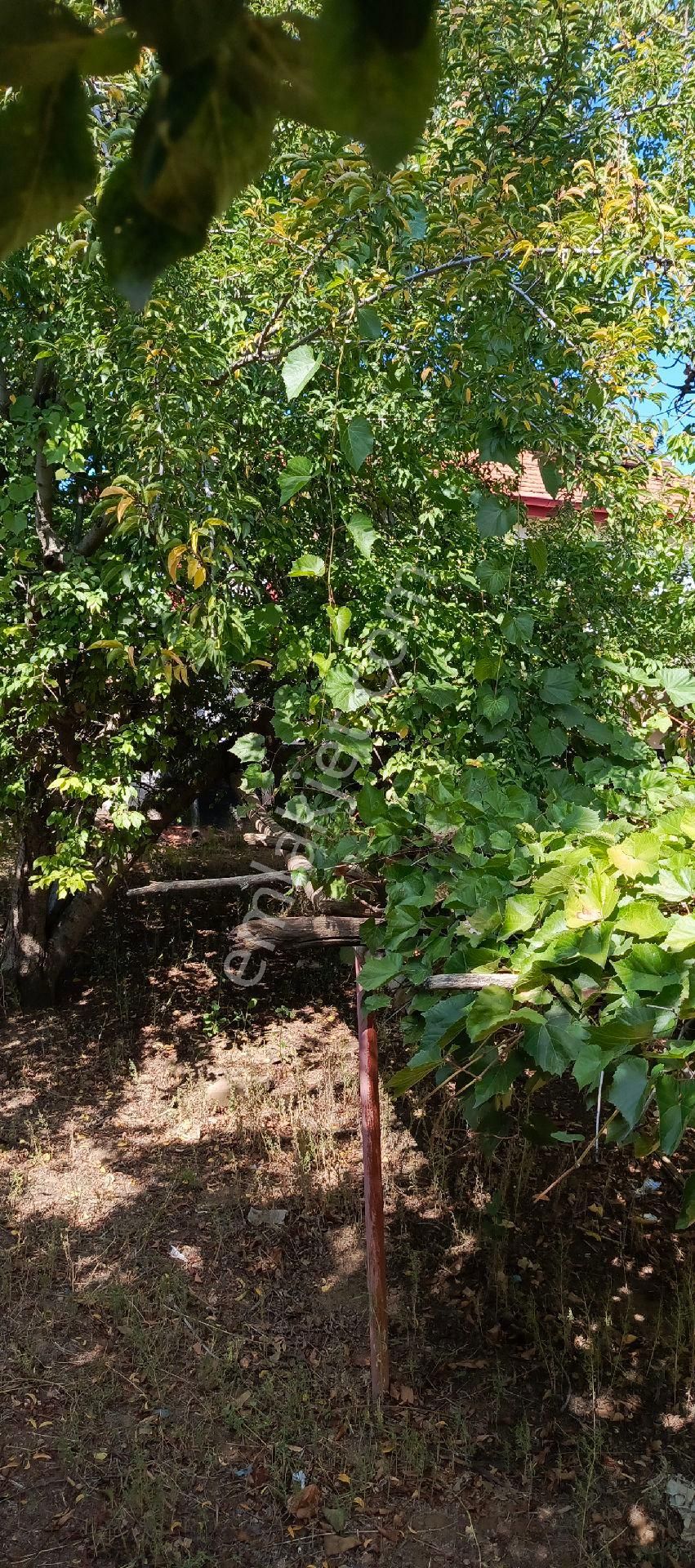 7500 M2 Satılık Konut İmarlı Arsa, Şehir Merkezi Cadde Üzeri - Görsel 28