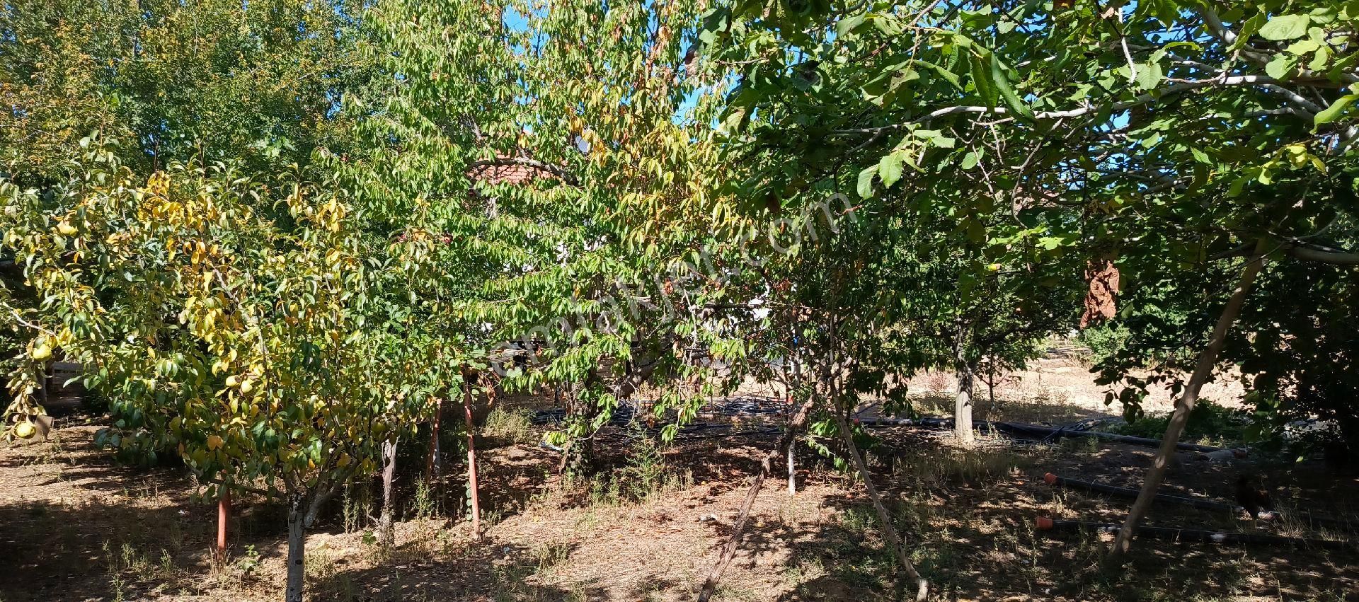 7500 M2 Satılık Konut İmarlı Arsa, Şehir Merkezi Cadde Üzeri - Görsel 31