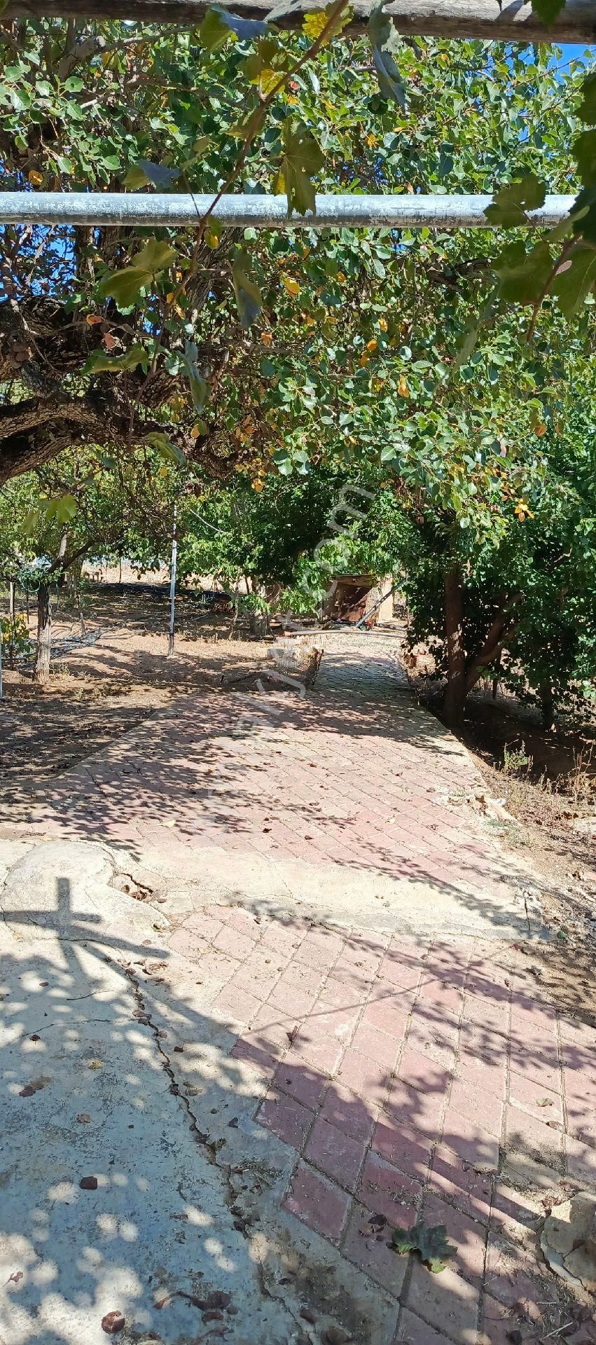 7500 M2 Satılık Konut İmarlı Arsa, Şehir Merkezi Cadde Üzeri - Görsel 24