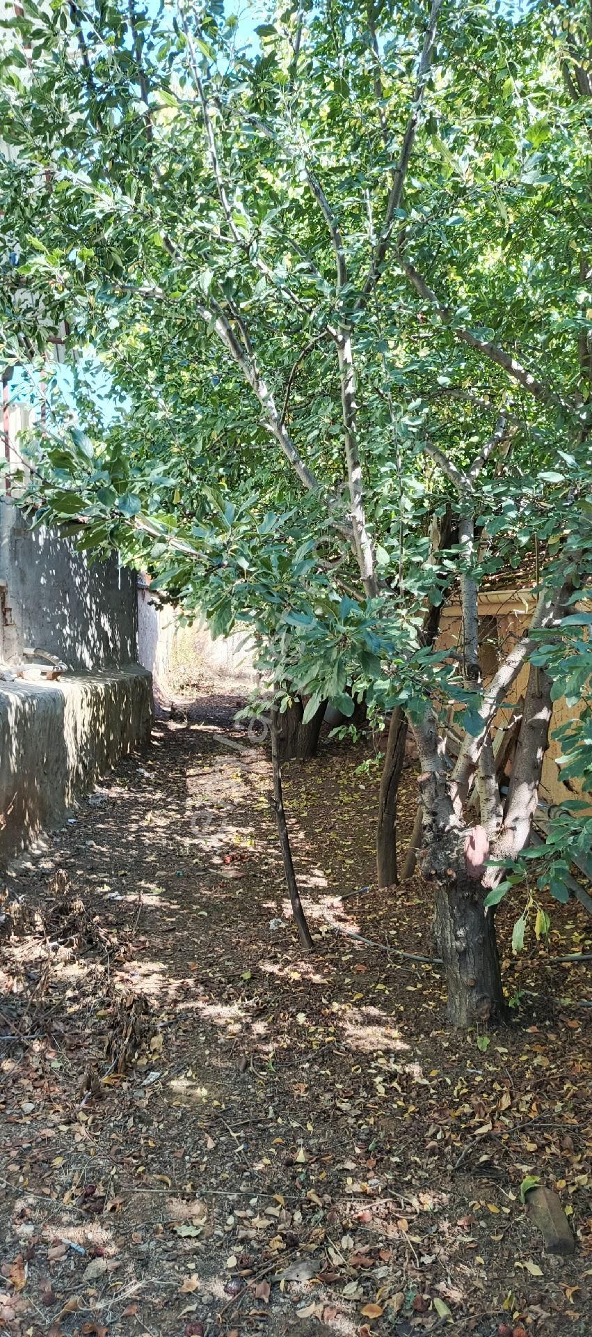 7500 M2 Satılık Konut İmarlı Arsa, Şehir Merkezi Cadde Üzeri - Görsel 12