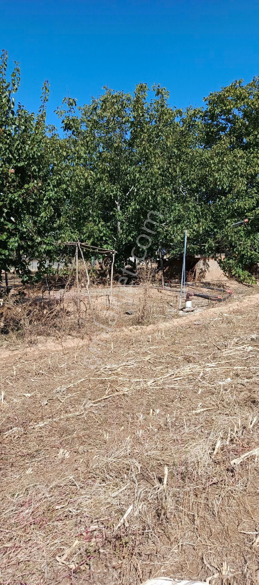 7500 M2 Satılık Konut İmarlı Arsa, Şehir Merkezi Cadde Üzeri - Görsel 23