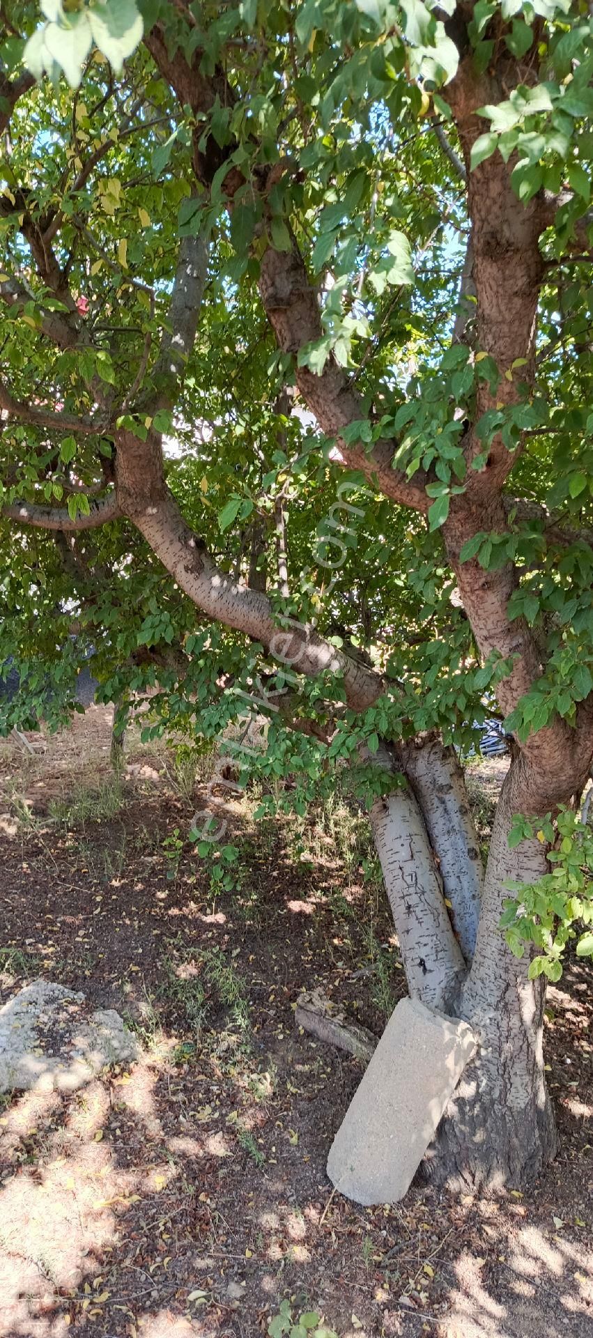 7500 M2 Satılık Konut İmarlı Arsa, Şehir Merkezi Cadde Üzeri - Görsel 27