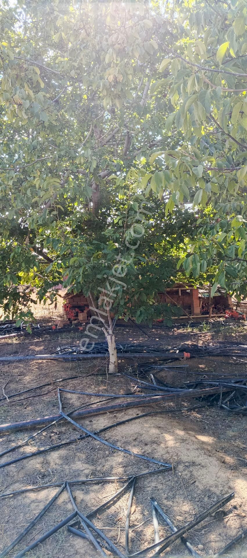 7500 M2 Satılık Konut İmarlı Arsa, Şehir Merkezi Cadde Üzeri - Görsel 16