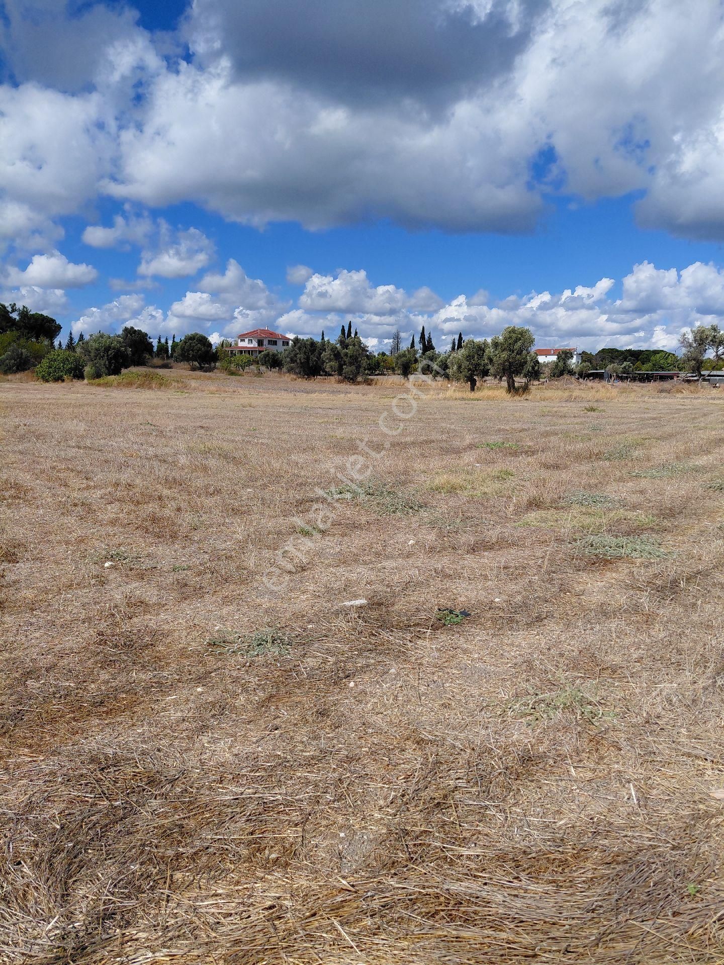 İzmir Urla Sıra Mevkinde Satılık 8 Dönüm Tarla