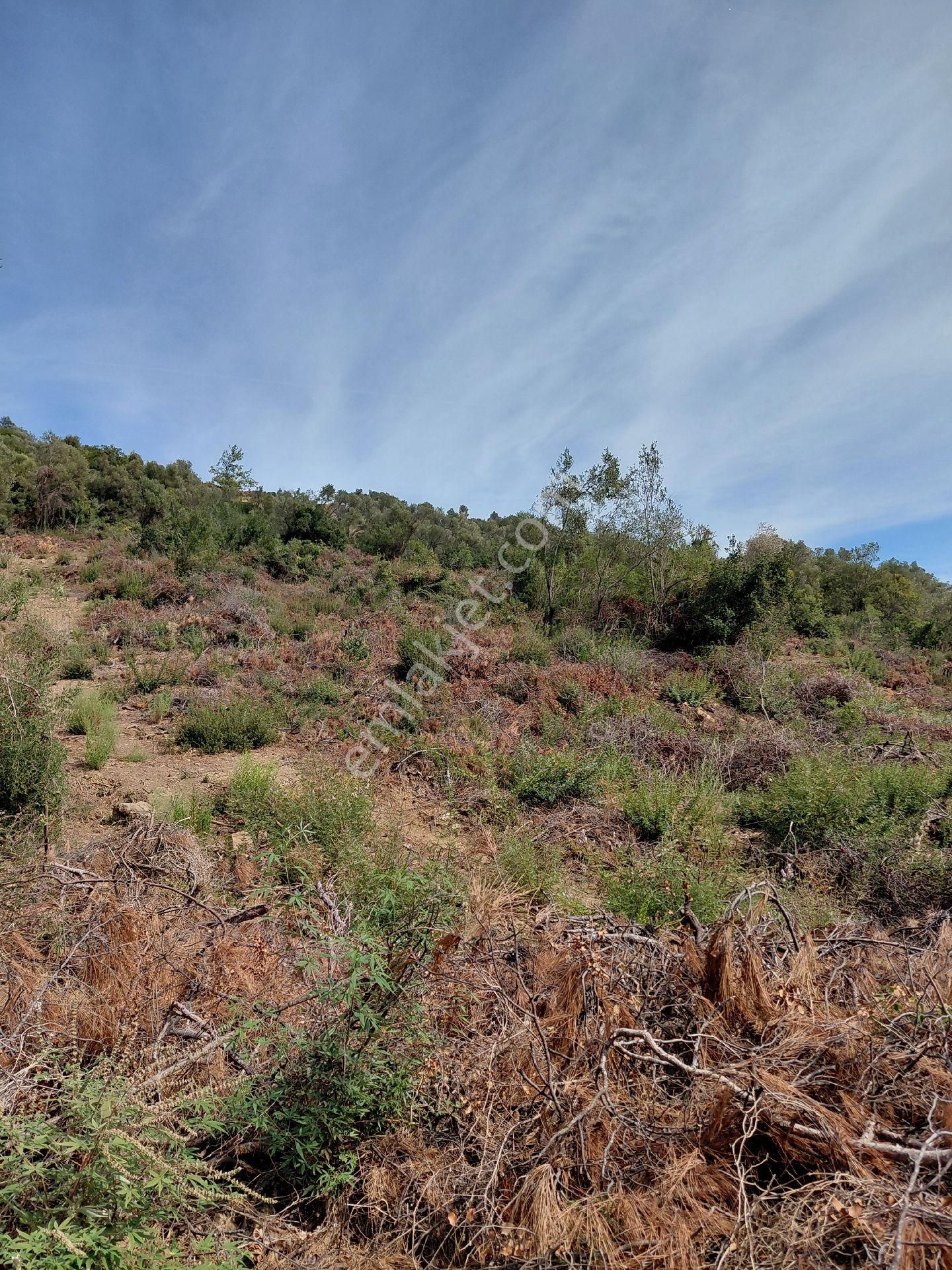 İzmir Seferihısar Orhanlı Koyunde Satılık 12 Dönüm - Görsel 7