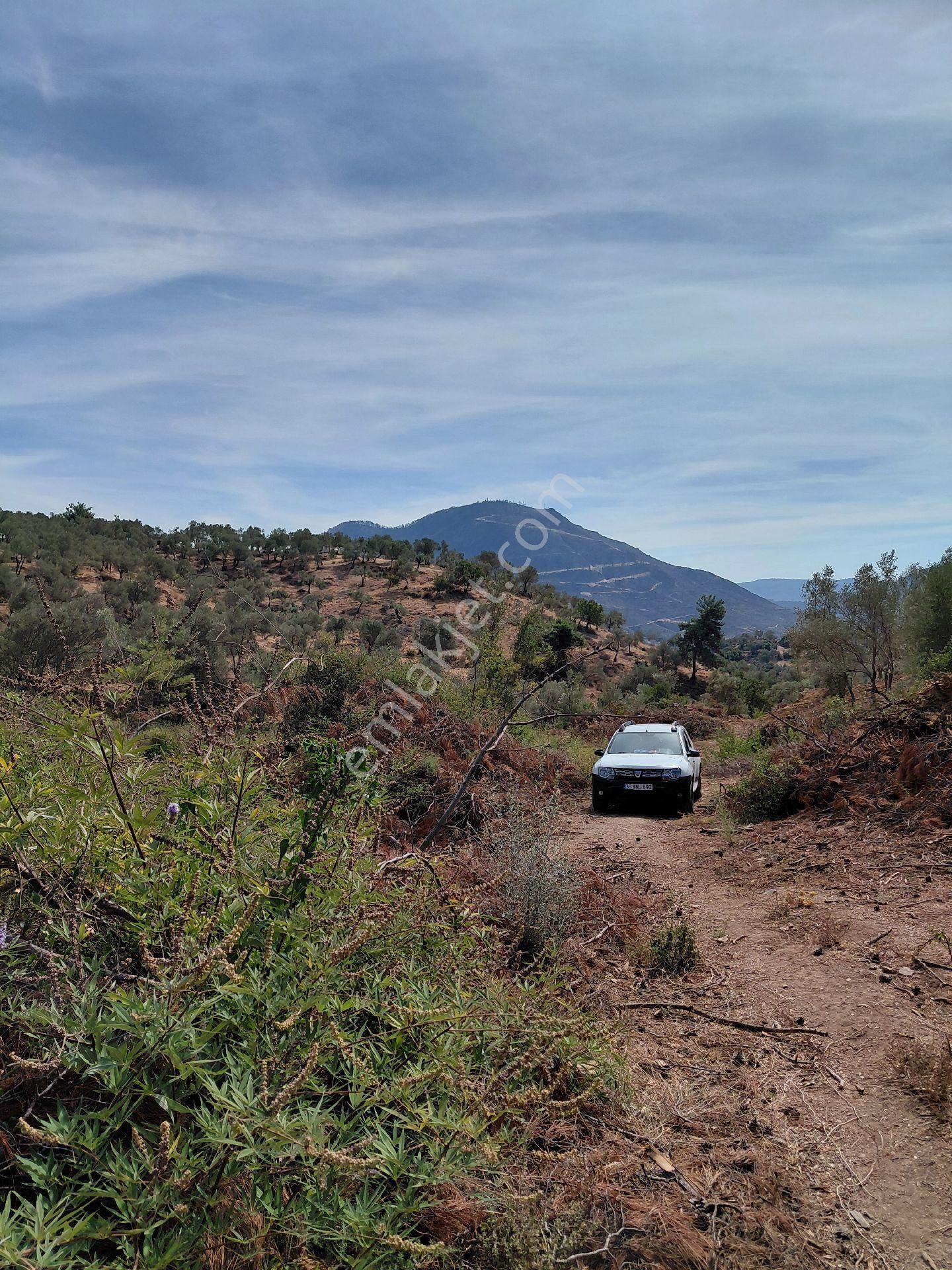 İzmir Seferihısar Orhanlı Koyunde Satılık 12 Dönüm - Görsel 8