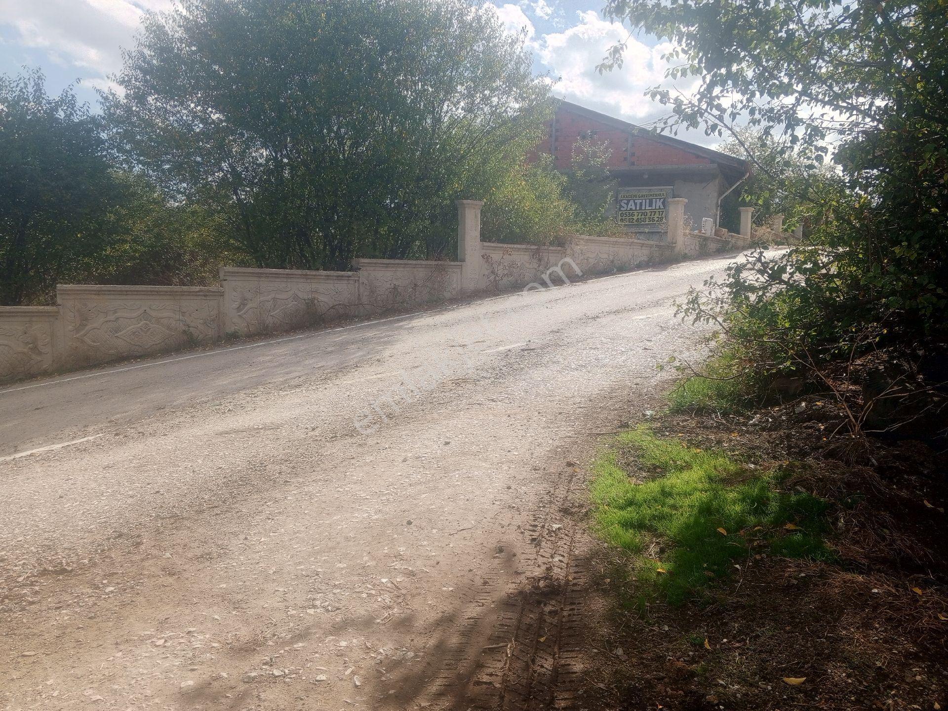 Kastamonu Merkez Saraycıkta Ev-bahçe-tarla - Görsel 17