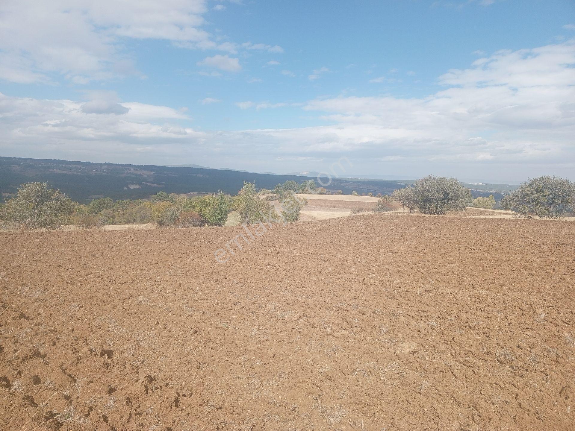 Kastamonu Merkez Saraycıkta Ev-bahçe-tarla - Görsel 21