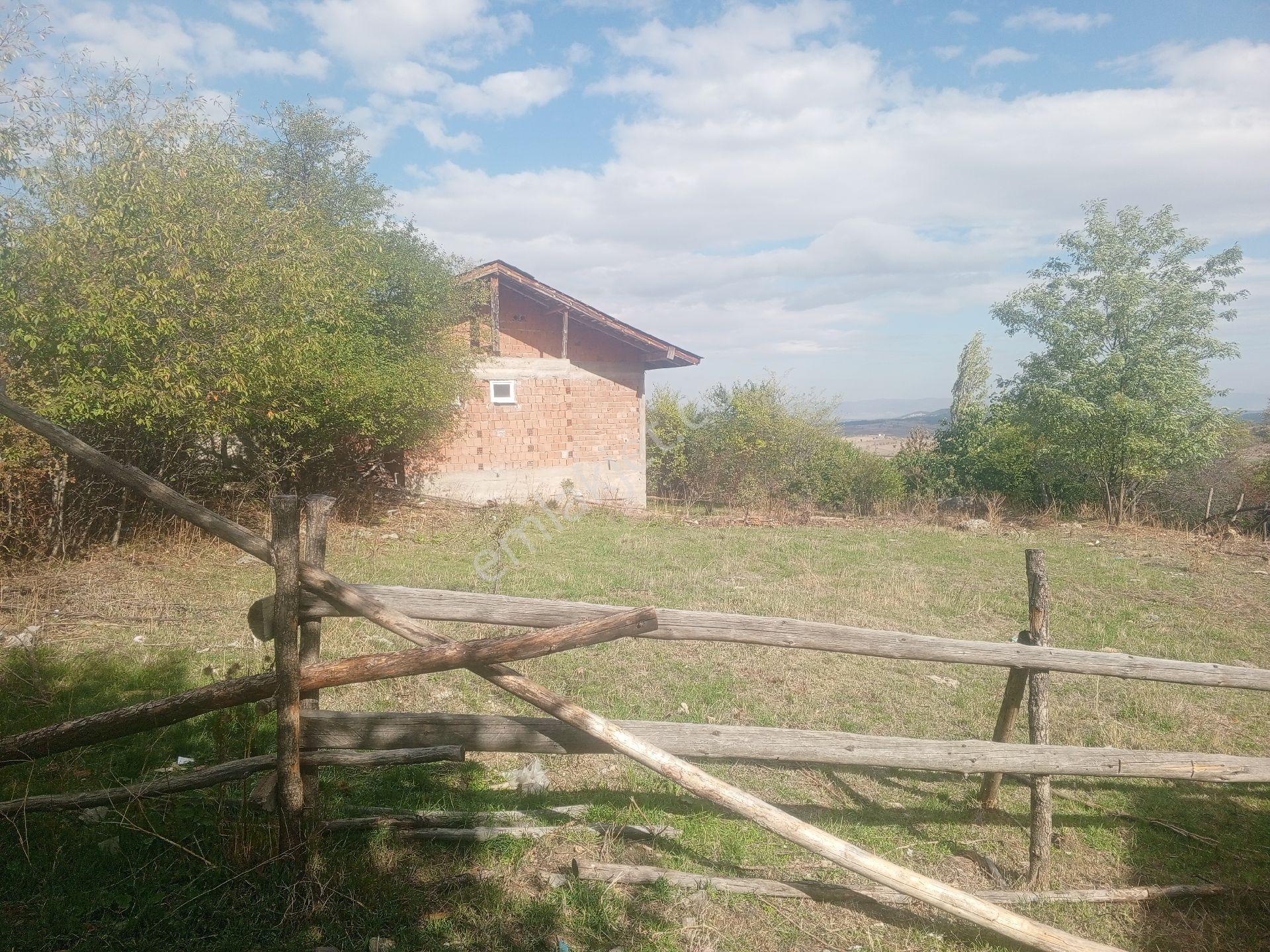 Kastamonu Merkez Saraycıkta Ev-bahçe-tarla - Görsel 3