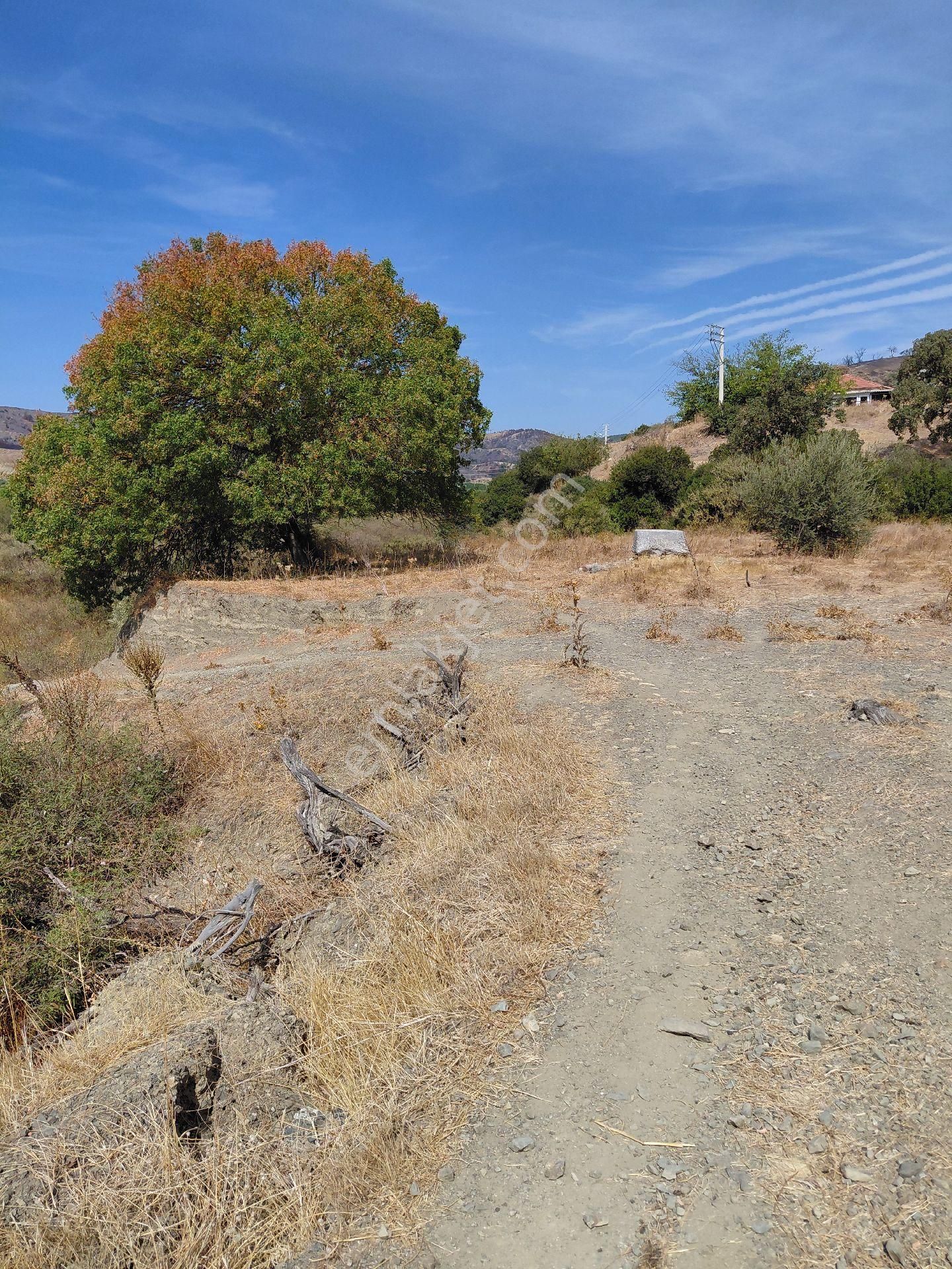 Seferihısar Kavakdere Mevkinde Satılık5.487 M2 İmarlı Arsa