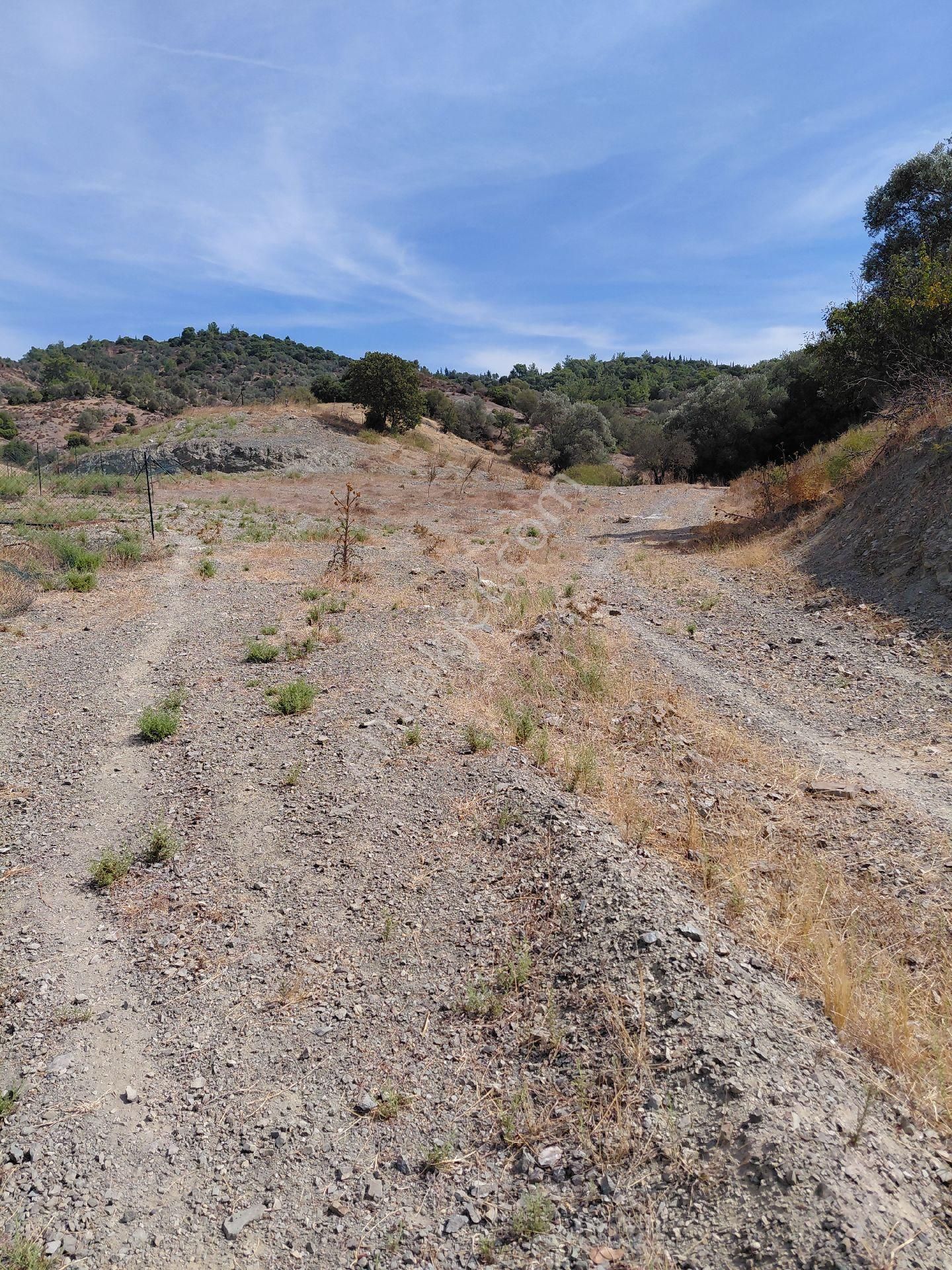 Seferihısar Kavakdere Mevkinde Satılık5.487 M2 İmarlı Arsa - Görsel 12