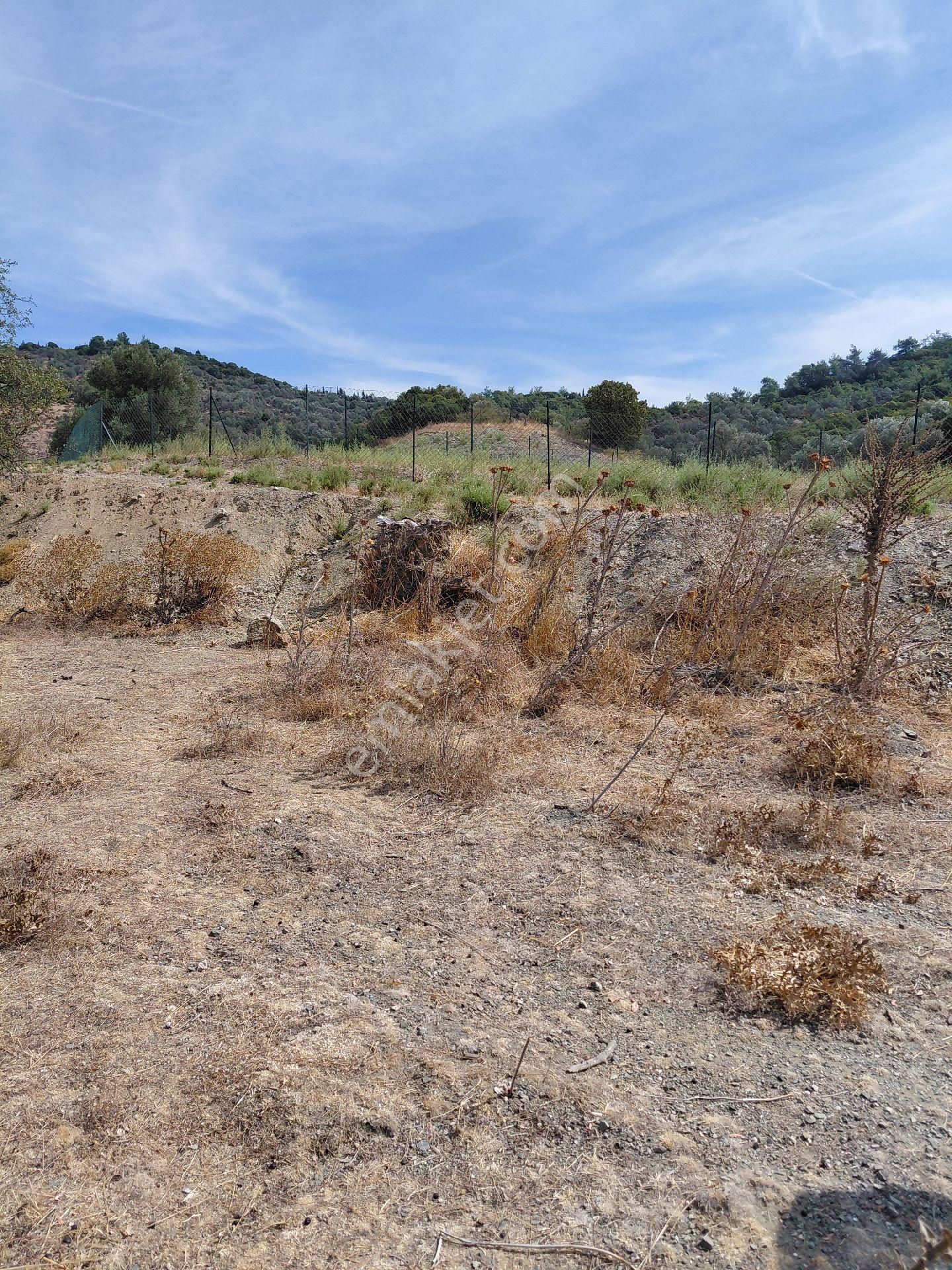 Seferihısar Kavakdere Mevkinde Satılık5.487 M2 İmarlı Arsa - Görsel 4