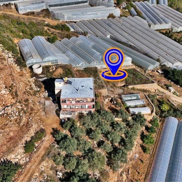 Alanya Yeşilöz De Satılık Tarla - Görsel 2