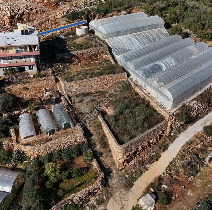 Alanya Yeşilöz De Satılık Tarla - Görsel 4