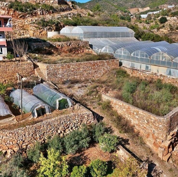 Alanya Yeşilöz De Satılık Tarla - Görsel 3