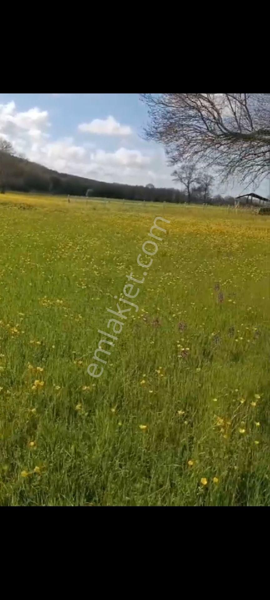 Sahibinden Satılık - Görsel 3