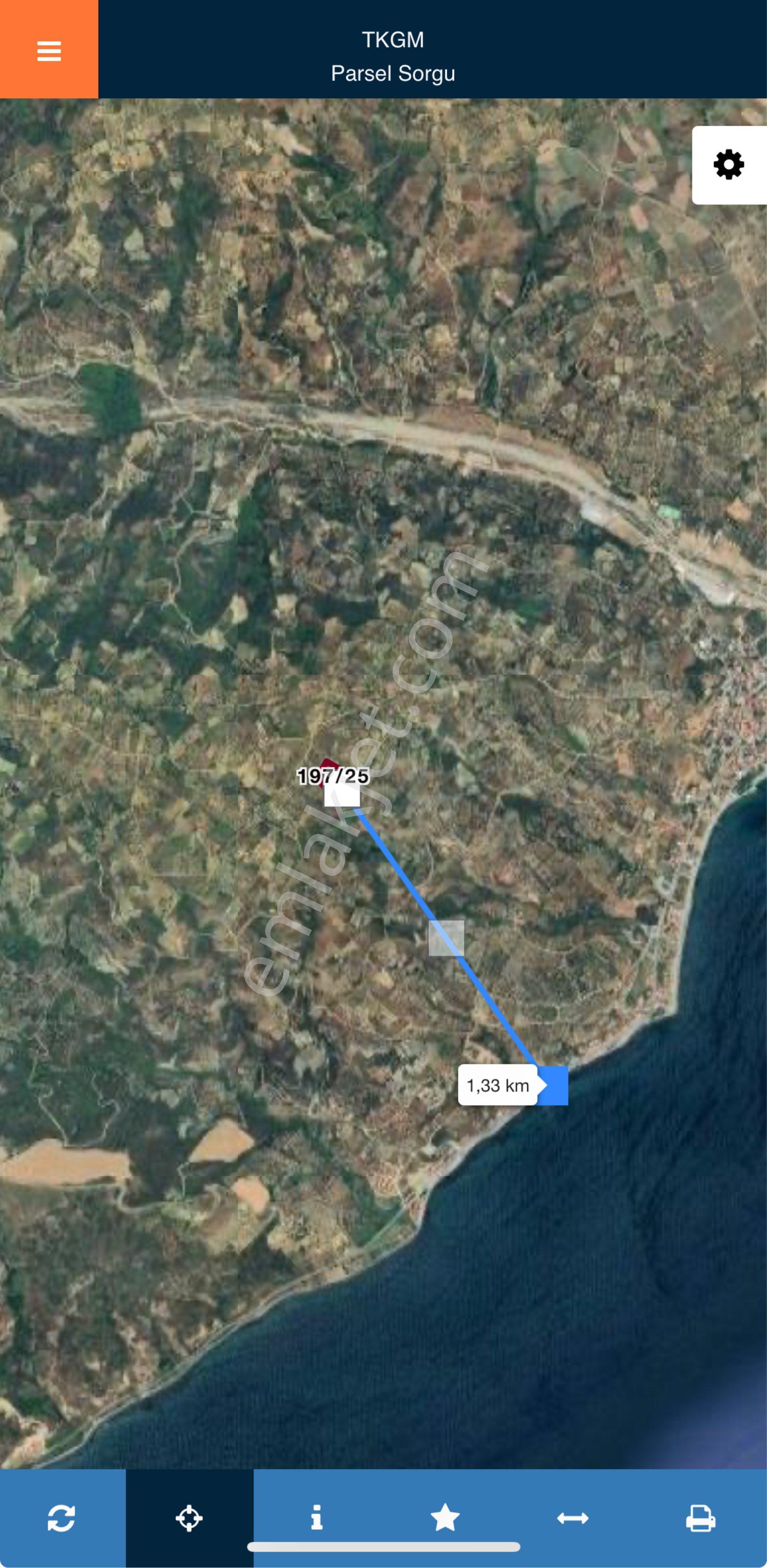 Tekirdağ Şarköy Hoşköy’de 7554 Metrekare Deniz Manzaralı Zeytinlik - Görsel 3