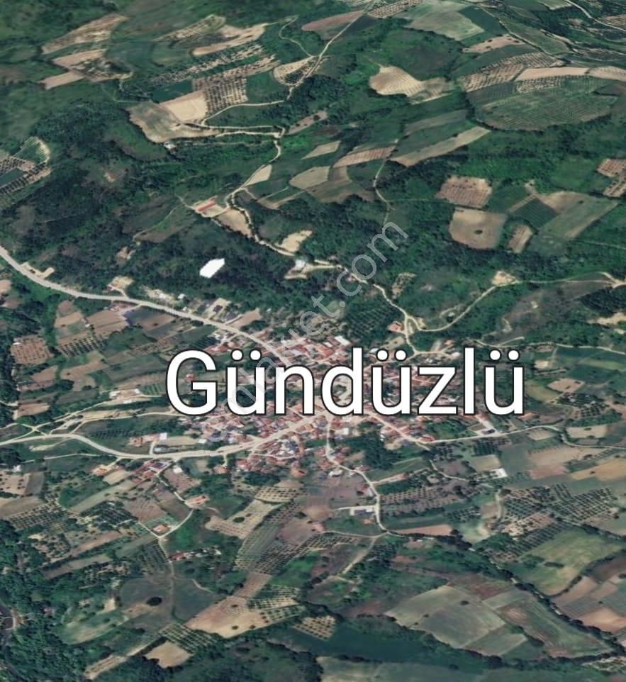 Src Emlaktan Bursa İnegöl Gündüzlü Mah. Yatırımlık Tarla - Görsel 6